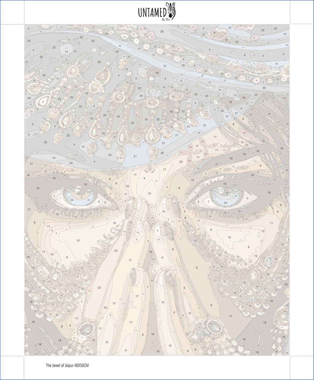 Paint By Numbers - The Jewel of Jaipur