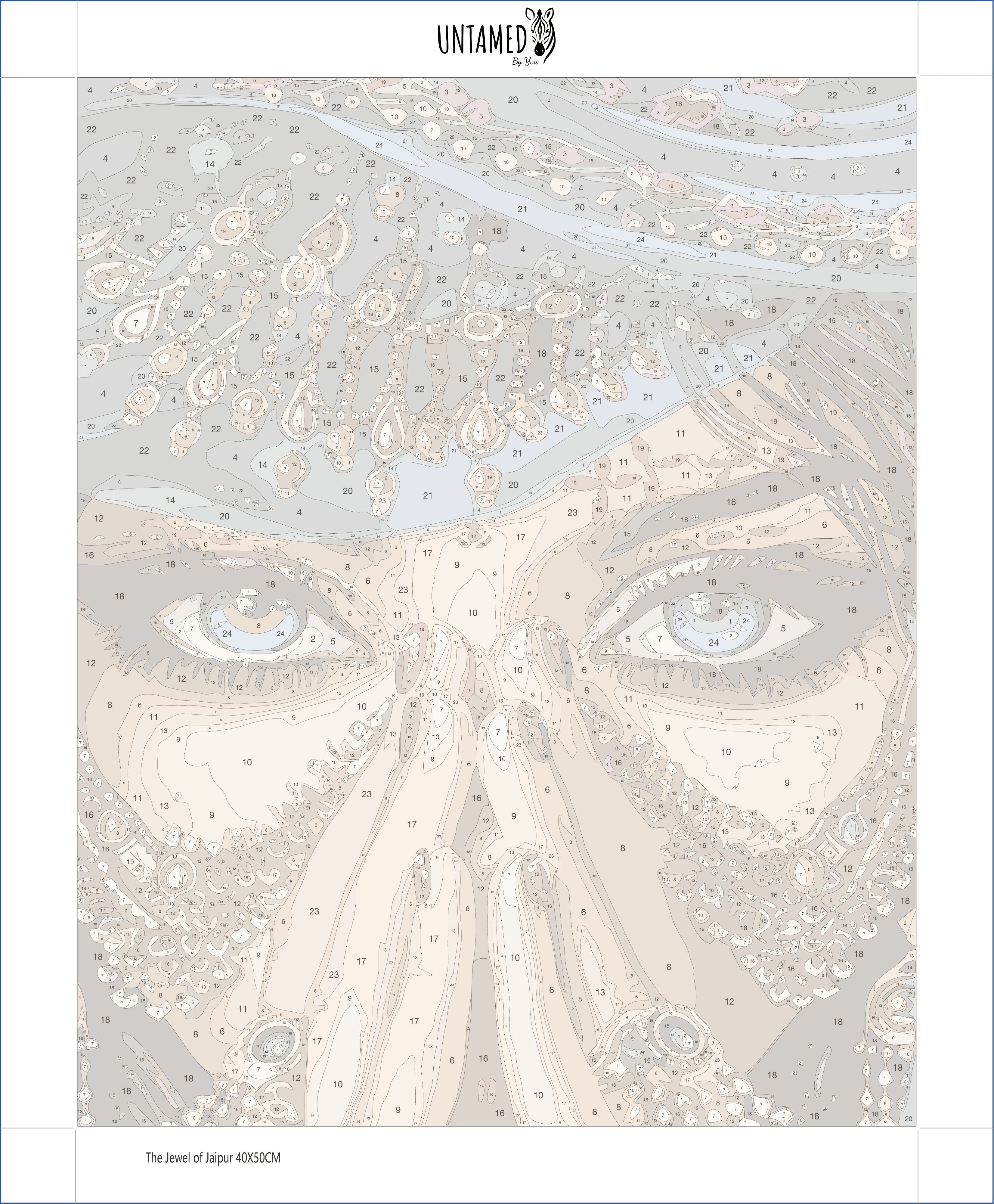 Paint By Number - The Jewel of Jaipur