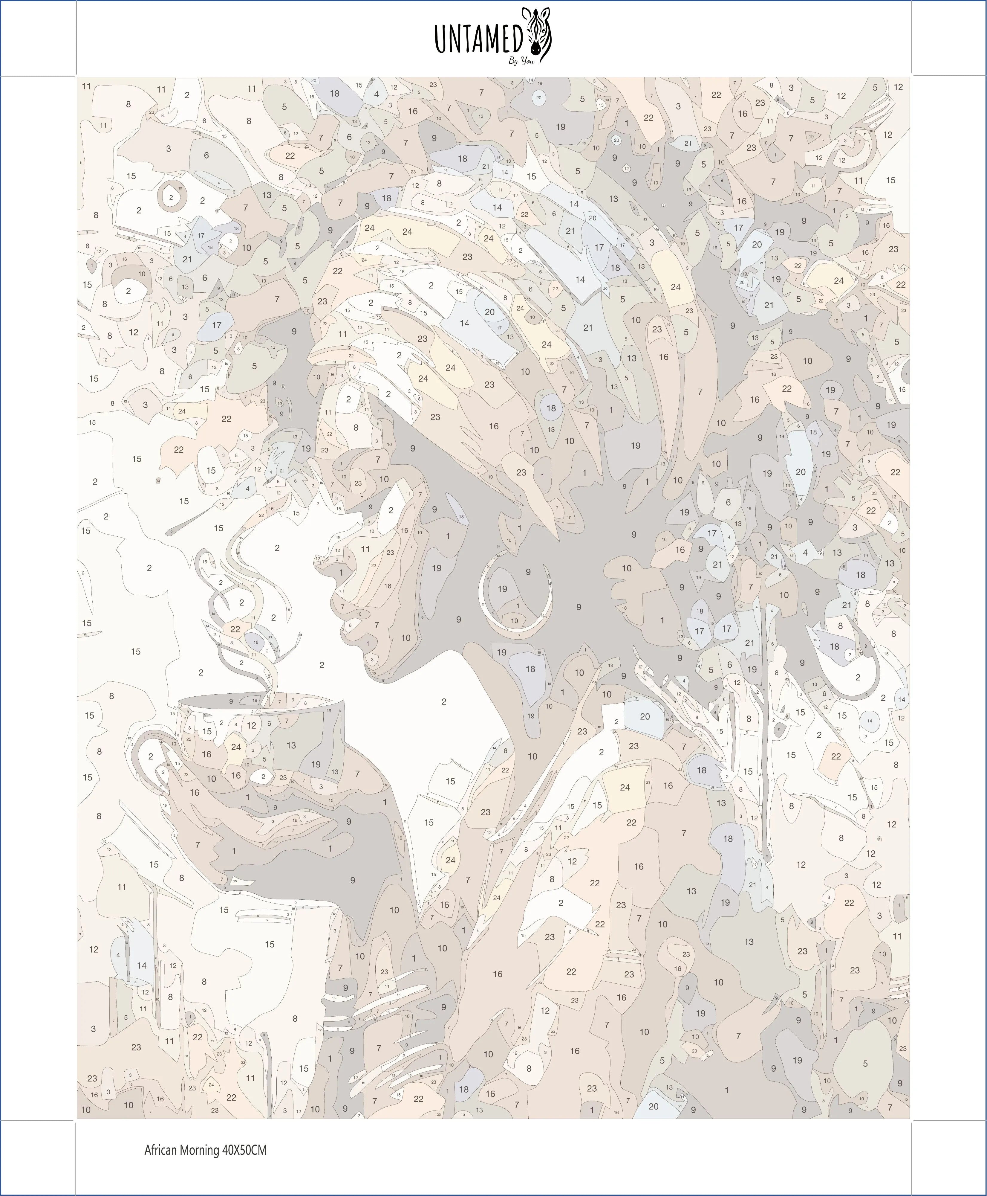 Paint By Number - African Morning