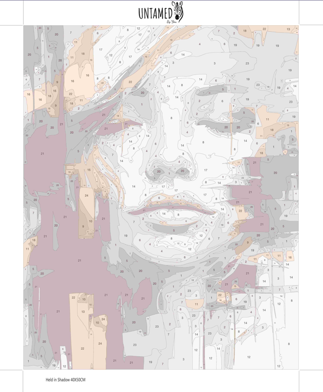 Paint By Numbers – Held in Shadow