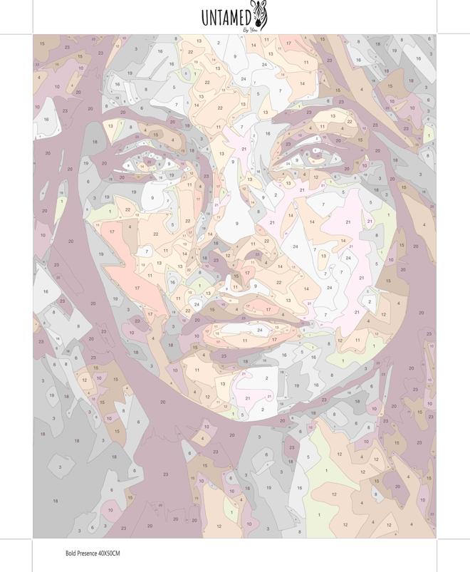 Paint By Numbers – Bold Presence