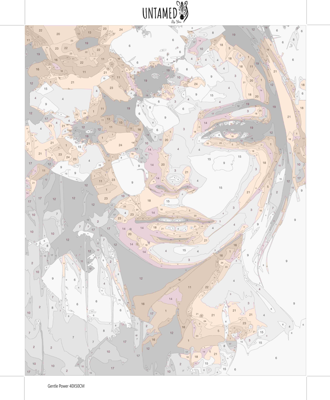 Paint By Numbers – Gentle Power