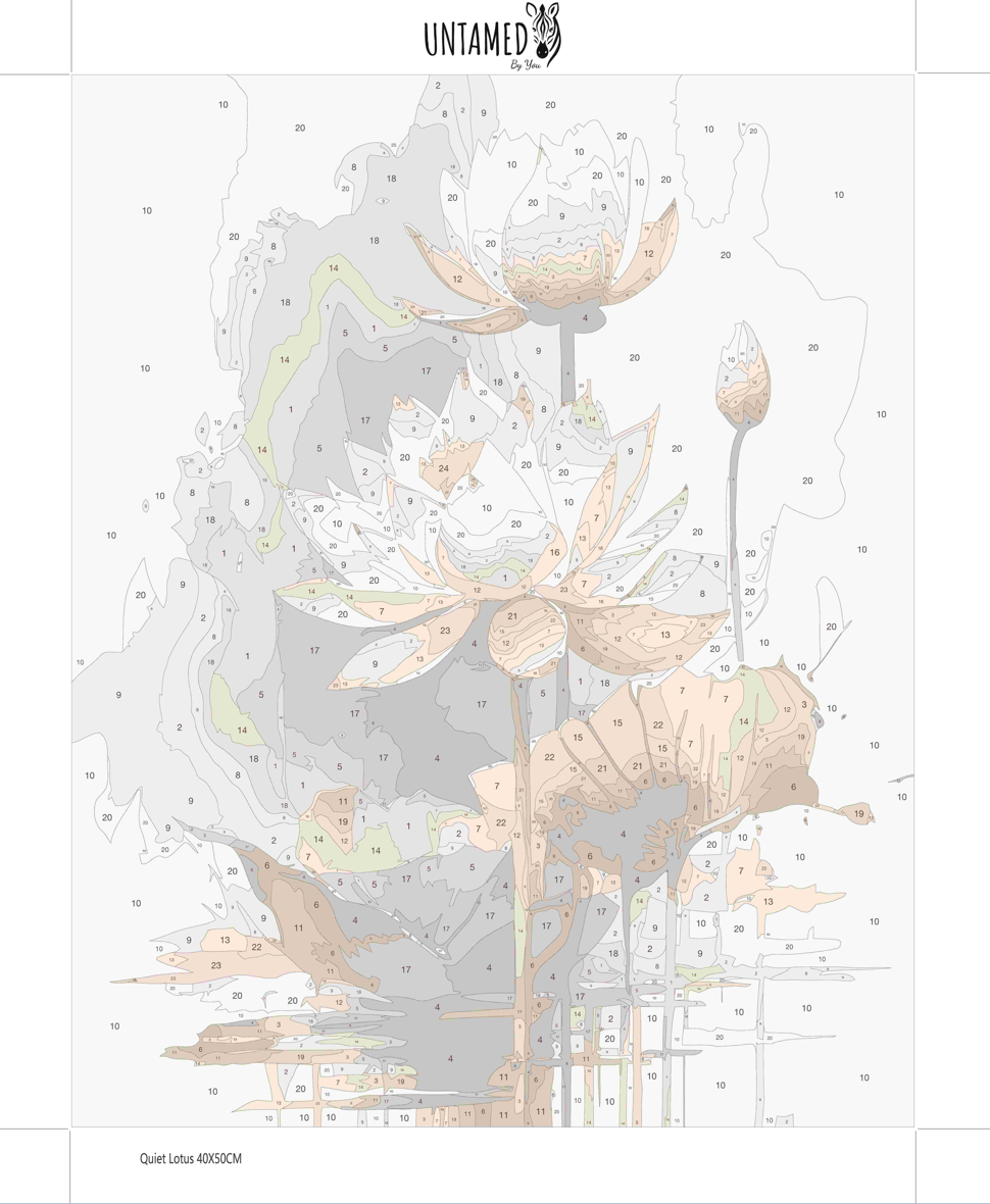 Paint By Numbers – Quiet Lotus