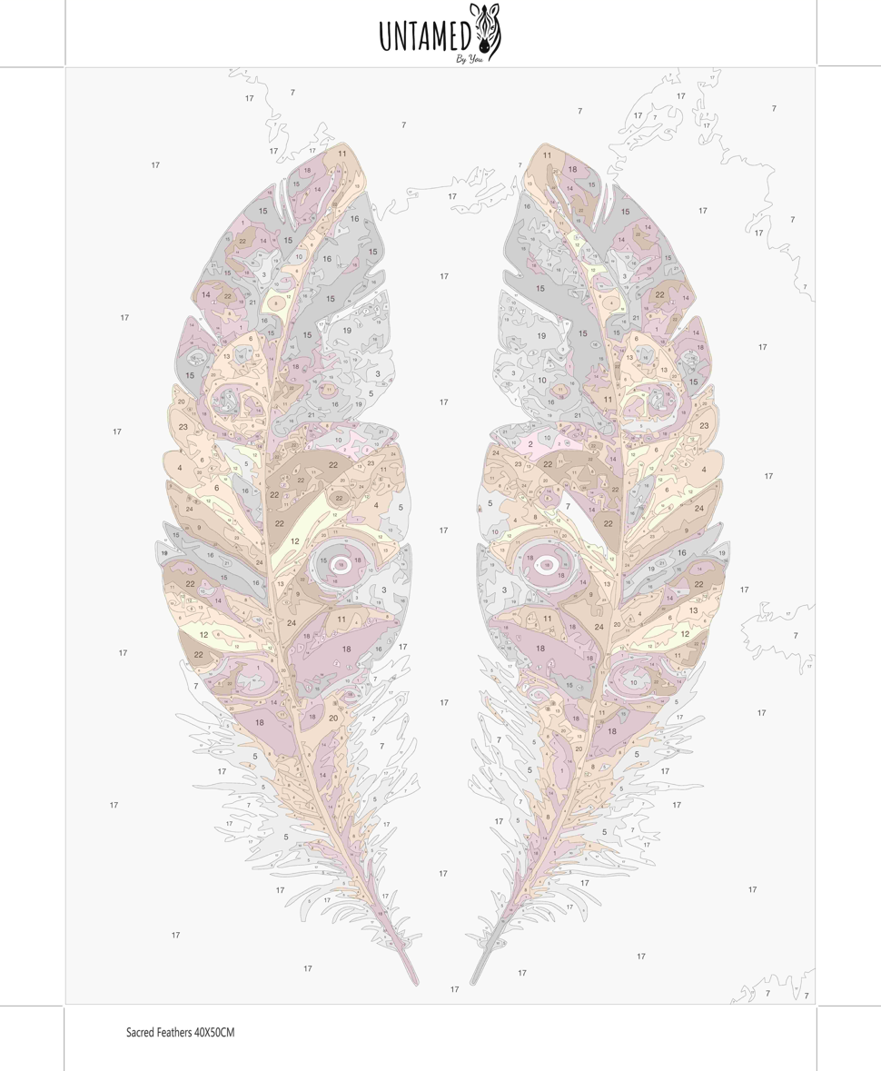 Paint By Numbers - Sacred Feathers