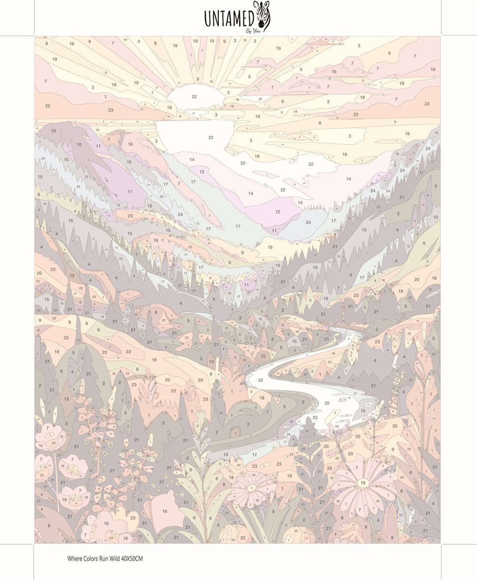 Paint By Numbers - Where Colors Run Wild