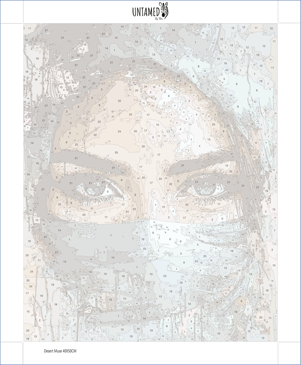 Paint By Numbers - Desert Muse