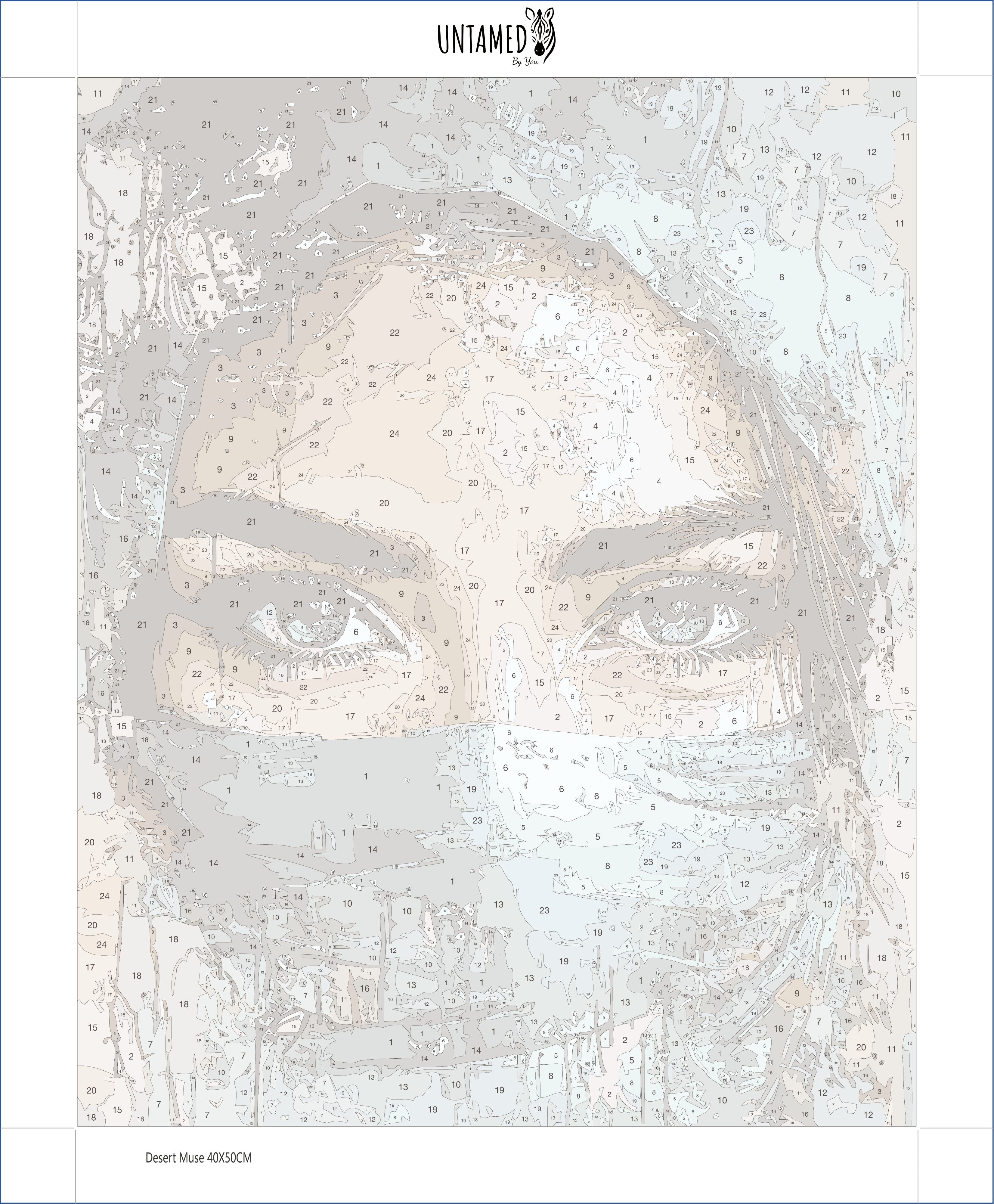 Paint By Number - Desert Muse